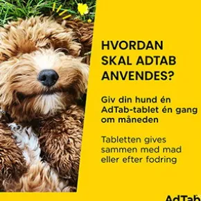 AdTab til hunde >5.5-11 kg, 6 stk - Loppemiddel