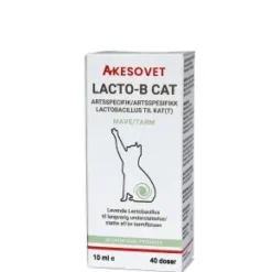 Akesovet LACTO-B CAT