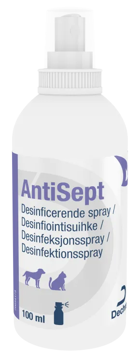AntiSept Klorhexidin Spray 100 ml