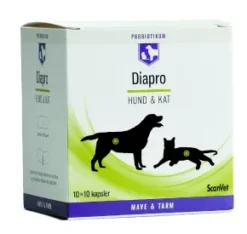 Diapro kapsler, 100 stk