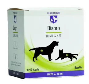 Diapro kapsler, 100 stk