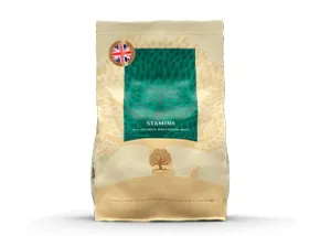 Essential Our Finest Stamina