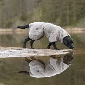 Non-Stop Dogwear Drying Coat