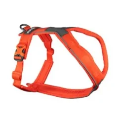 Non-Stop Dogwear Line harness 5.0, Orange