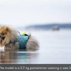 Non-Stop Dogwear Protector life jacket