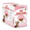 Royal Canin Kitten Sterilised Gravy Vådfoder, 12x85g